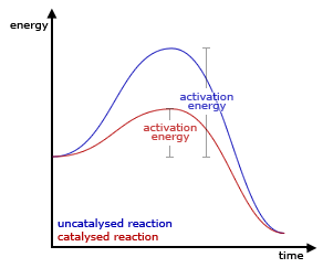 Effect of a catalyst on a reaction 