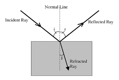 Reflected and refracted rays