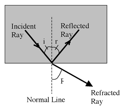 Reflected and refraced rays