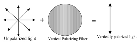 Polarizing filter effect
