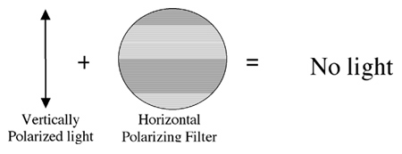 Horizontal polarizing filter effect