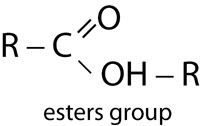 Esters group