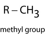 Methyl group