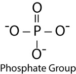 Phosphate group