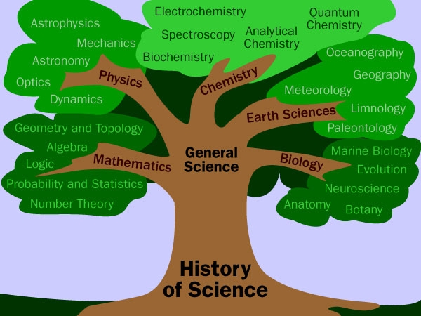 Tree of knowledge