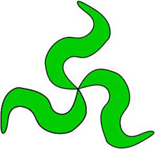 Squiggly lines