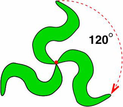 Squiggly lines with symmetry shown