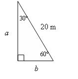 riangle with sides a, b, and 20 m