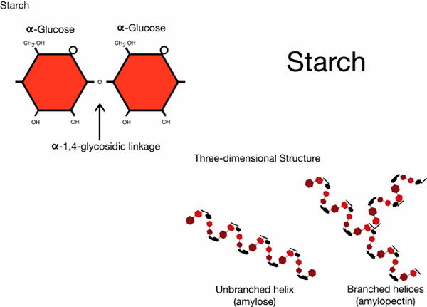 Starches