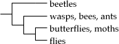 Insect cladogram
