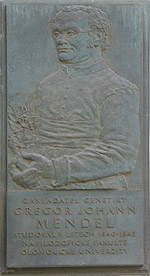 Stone relief of Gregor Mendel