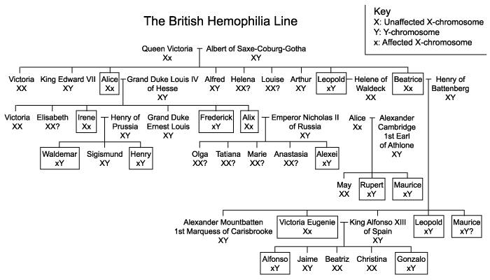 The British Hemophilia Line