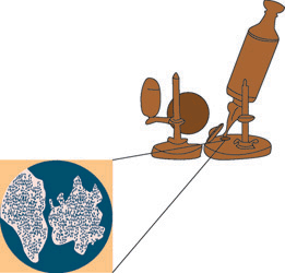 Early microscopt and cork cells