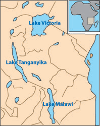 A map of Lake Malawi, Tanganyika etc.