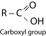 Carboxyl group
