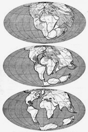 Pangaea
