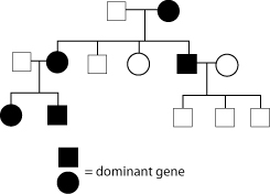 Dominant pedigree chart