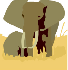Elephant family