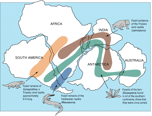 Fossil evidence for plate tectonics