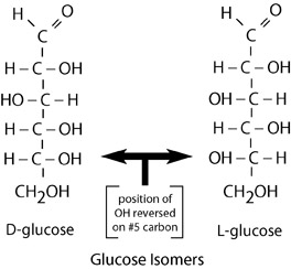 Glucose Isomers