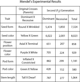 Mendel's Experimental Results