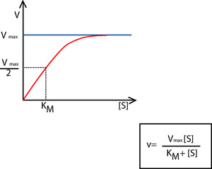 Michaelis-Menten equation