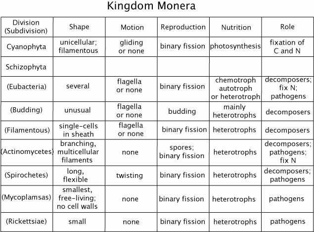 Kingdom Monera chart