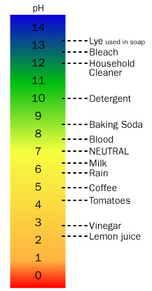 pH Scale