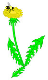 Pollination