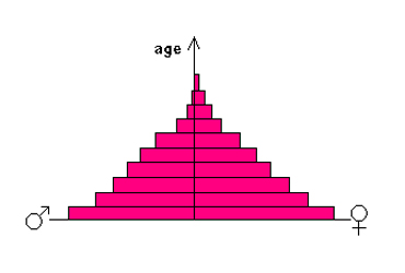 Population pyramid, ex 2