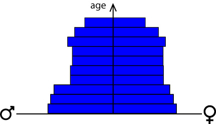 Population pyramid, ex 3