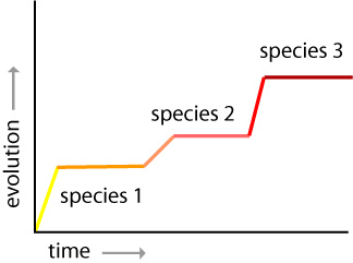 Punctuated Equilibrium