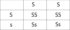 Allele table