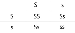 Allele table for generation two