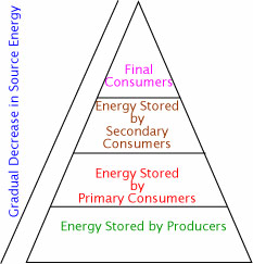 Energy pyramid