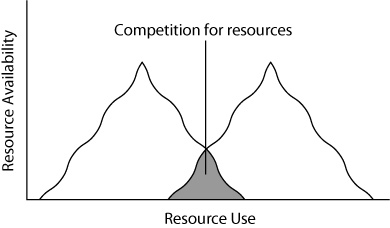 Resource competition