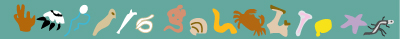 Various Organisms
