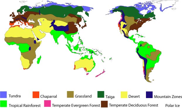 Earth's major biomes