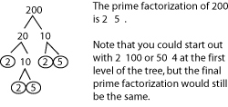Factor Tree Part 2