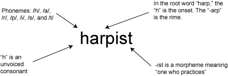 Diagram of the word 'harpist'
