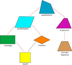 Quadrilateral family tree