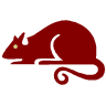 Rat