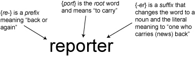 Diagram of reporter