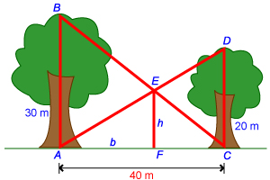 Tree problem diagram